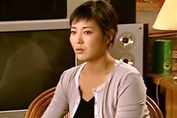 楊月華(鄉村劇《鎮長》中的副鎮長角色)