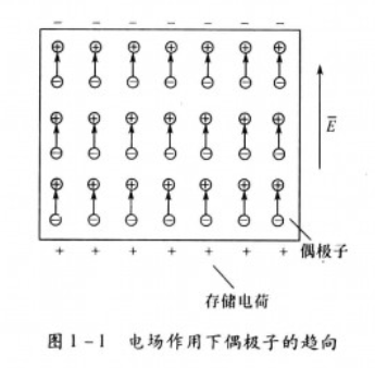 電場作業下偶極子的趨向