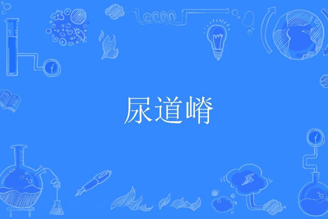 尿道嵴 尿道嵴