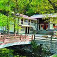 水溝村(山東省濱州市無棣縣埕口鎮水溝村) 水溝村(山東省濱州市無棣縣埕口鎮水溝村)