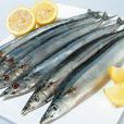 竹刀魚 竹刀魚