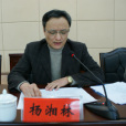 楊湘林(張家界市交通運輸局黨組成員、副局長)