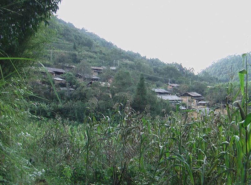 麻地沖村 麻地沖村