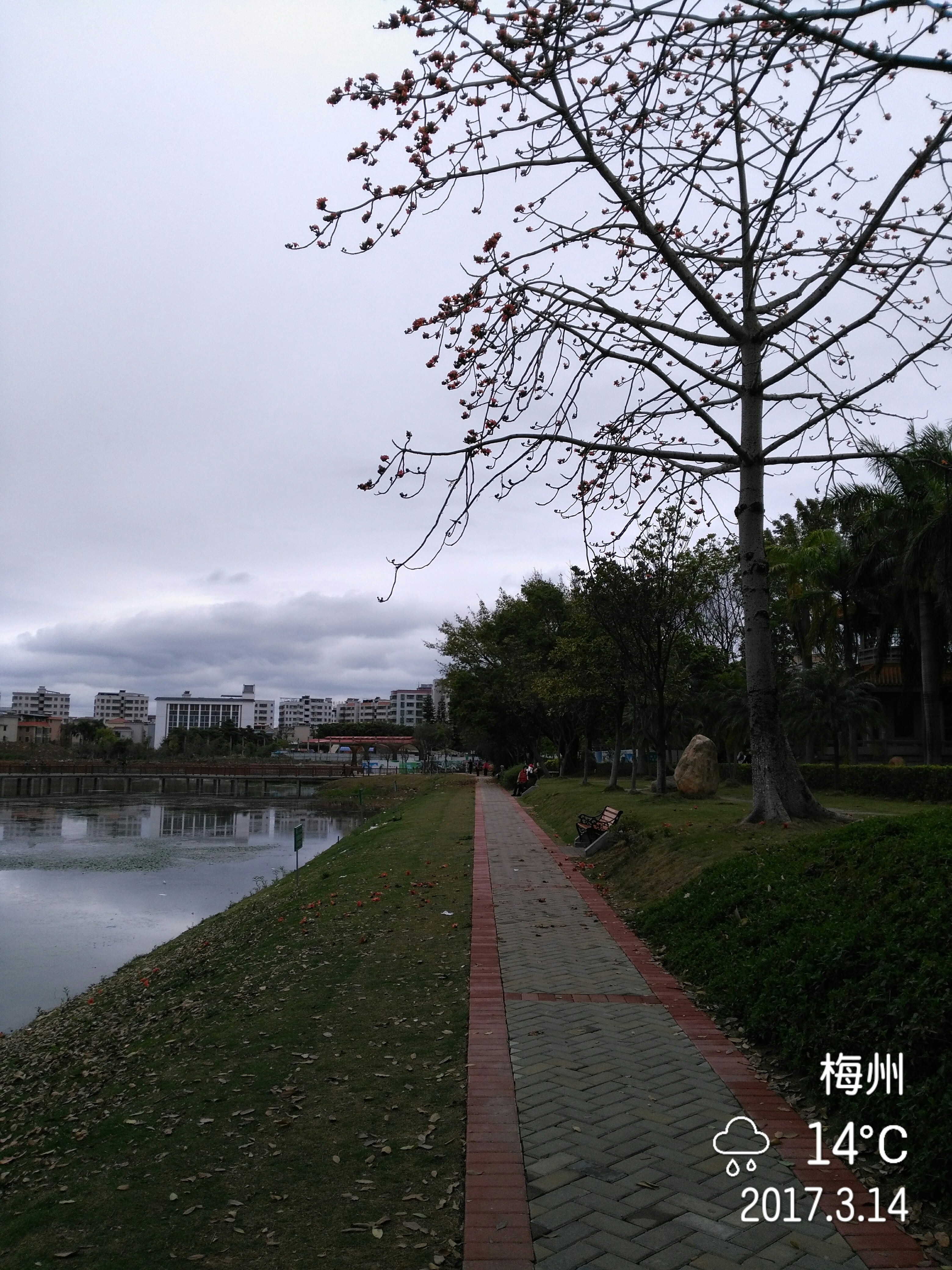 劍英公園59