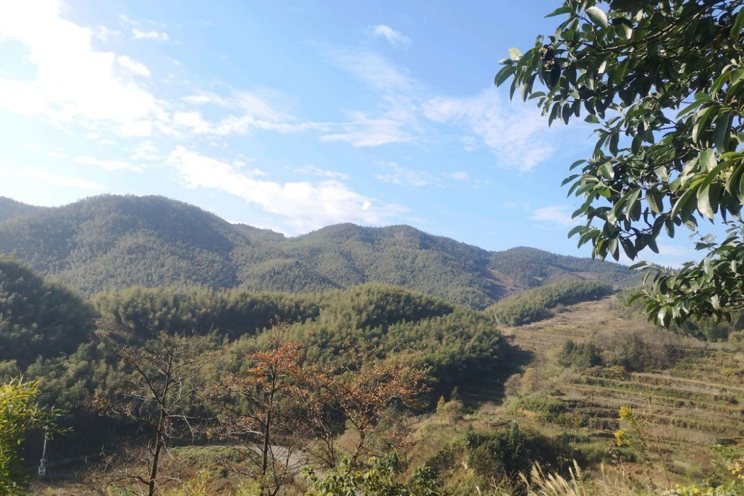 東大崗(吉林省長白山脈老爺嶺下的山脈) 東大崗(吉林省長白山脈老爺嶺下的山脈)