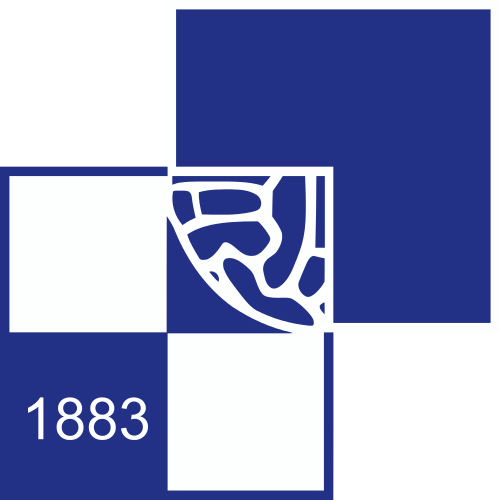 1980及90年代的隊徽