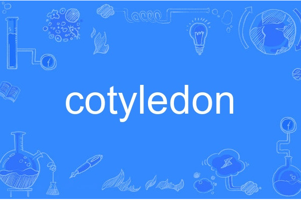 cotyledon cotyledon