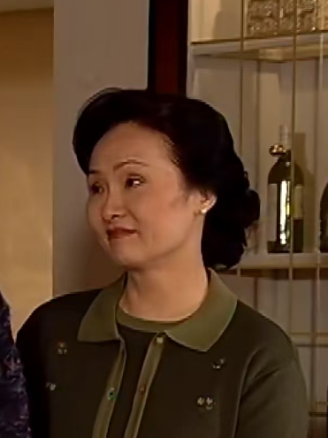 王小碟 王小碟