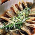 蒙式麒麟魚 蒙式麒麟魚