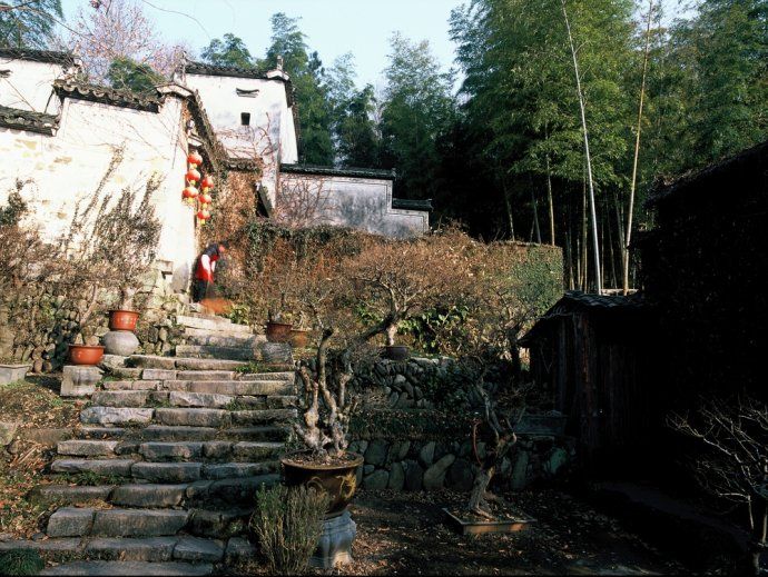 炮灣村 炮灣村
