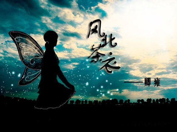 風北茶衣 風北茶衣
