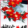 榴綻朱門 榴綻朱門