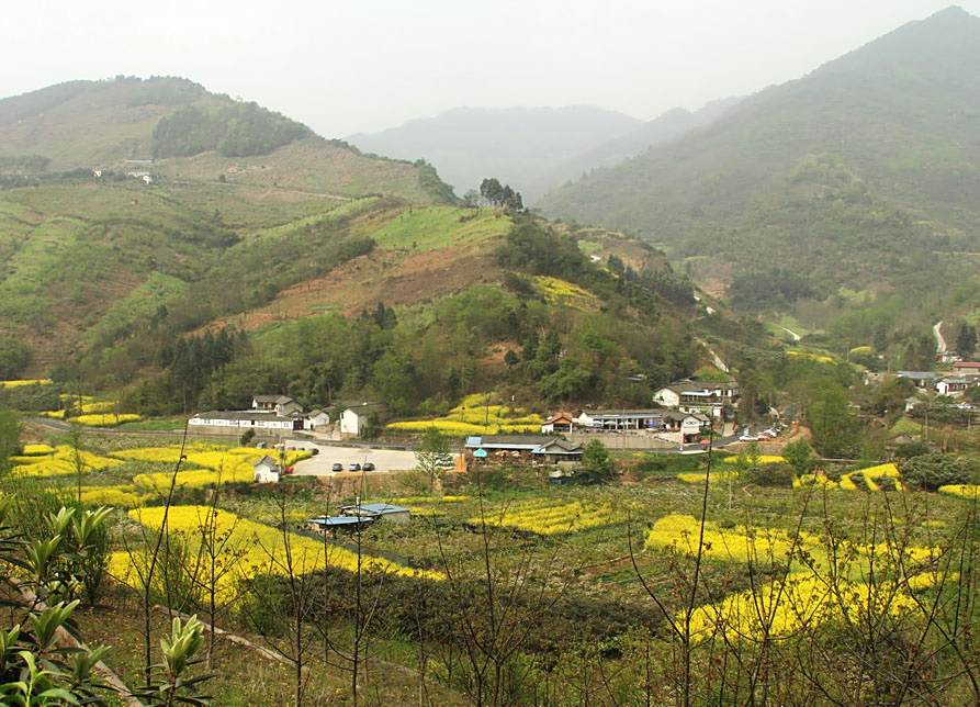 柿花園村(峨山縣小街鎮下轄村)