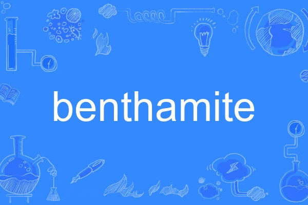 benthamite benthamite