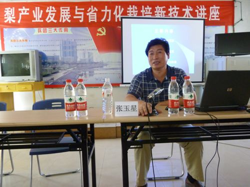 張玉星(河北農業大學教授) 張玉星(河北農業大學教授)