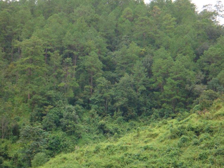 烏沙河村 烏沙河村
