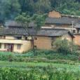 土科村 土科村