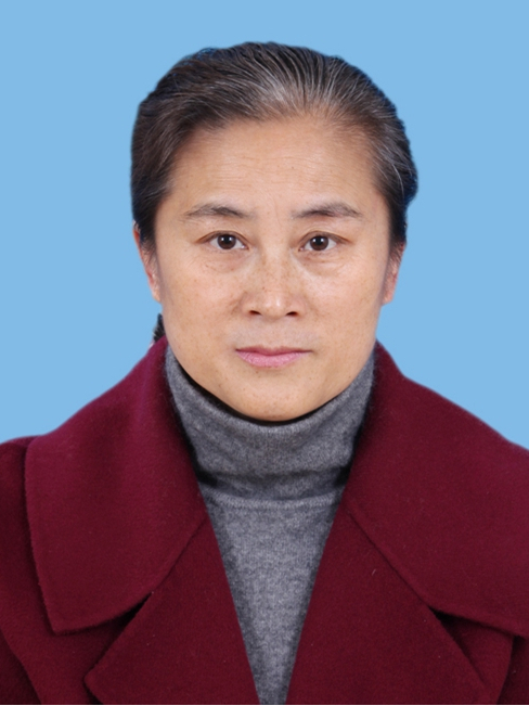 陳青(江蘇省第十四屆人民代表大會代表) 陳青(江蘇省第十四屆人民代表大會代表)