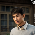汪新(電視劇《南來北往》中的男主角) 汪新(電視劇《南來北往》中的男主角)