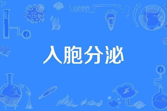 入胞分泌 入胞分泌