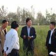 周莊村(河南省長垣縣魏莊鎮下轄村) 周莊村(河南省長垣縣魏莊鎮下轄村)