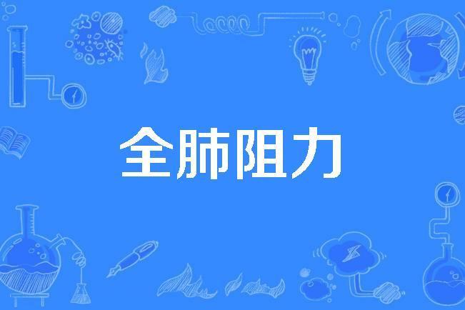 全肺阻力