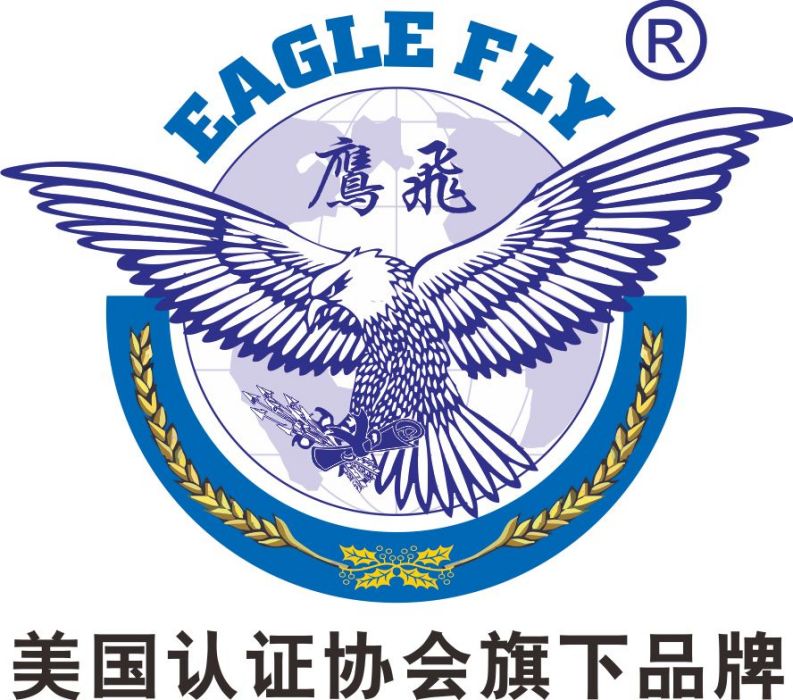 鷹飛國際 鷹飛國際