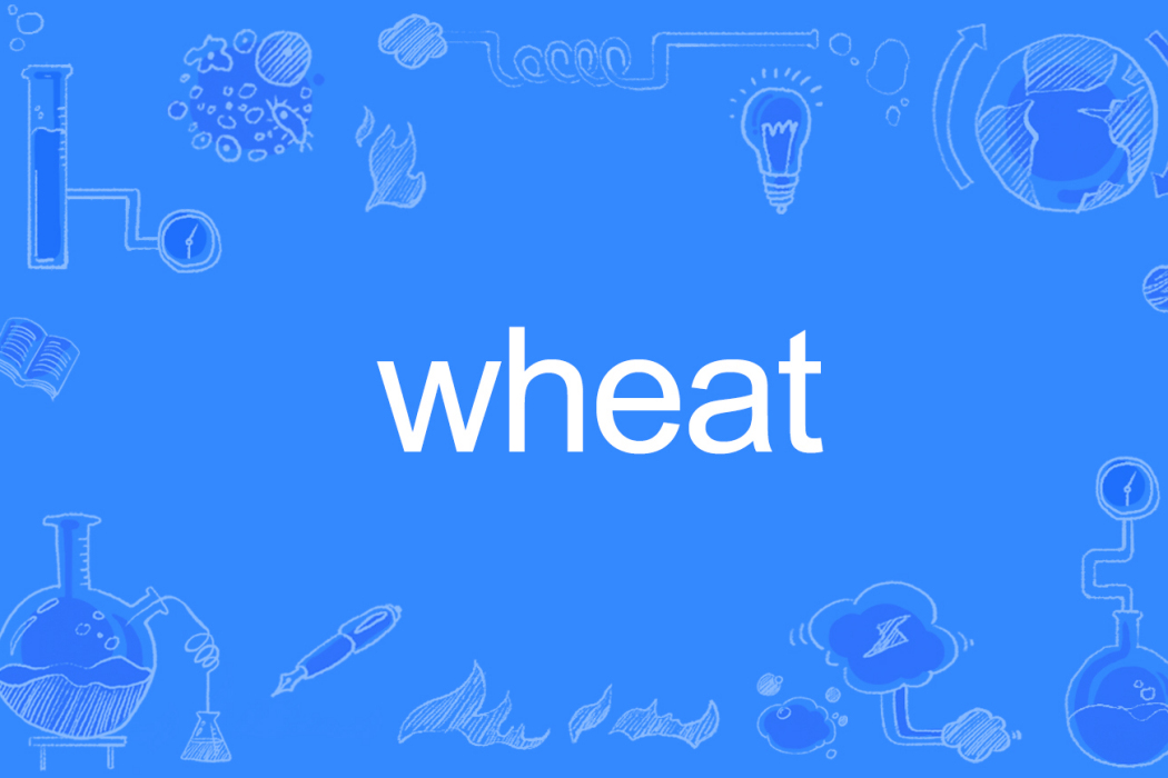 wheat wheat