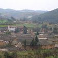 中和村(雲南省巍山縣巍寶山鄉中和村)
