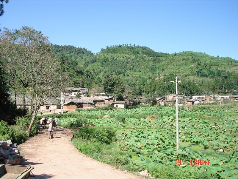 中格竹村 中格竹村