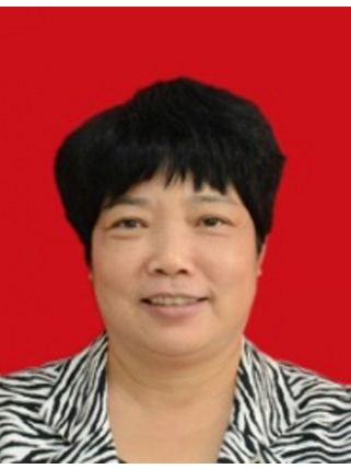 任曉珍(漯河市召陵區人民政府副區長) 任曉珍(漯河市召陵區人民政府副區長)