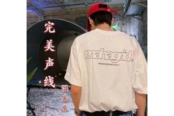 完美聲線(溫瞳演唱作品) 完美聲線(溫瞳演唱作品)