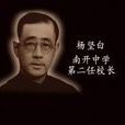 楊堅白 楊堅白