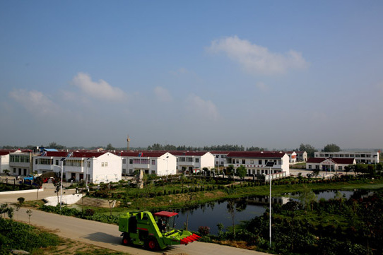 鄧圩村(五河縣鄧圩村) 鄧圩村(五河縣鄧圩村)
