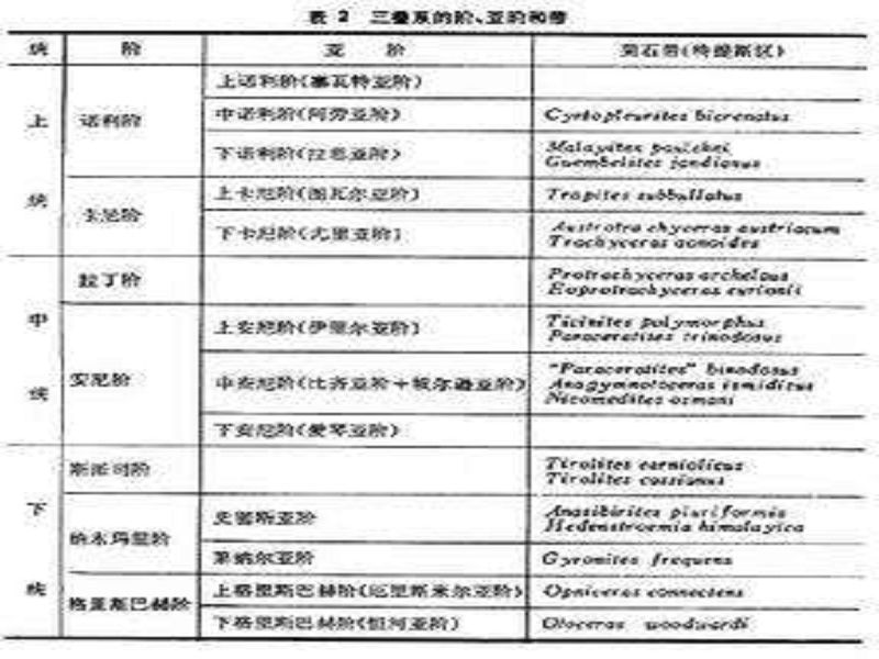 亞階 亞階