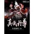 真武丹尊(皇甫霸唱著網路小說) 真武丹尊(皇甫霸唱著網路小說)