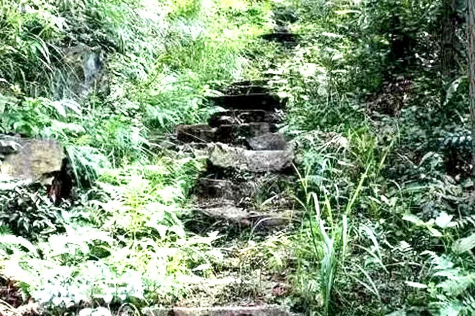 遙嶺古道(地處建德與淳安兩縣的古道) 遙嶺古道(地處建德與淳安兩縣的古道)