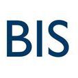 BIS(計算機行業用語)