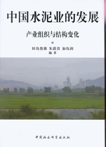 中國水泥業的發展：產業組織與結構變化