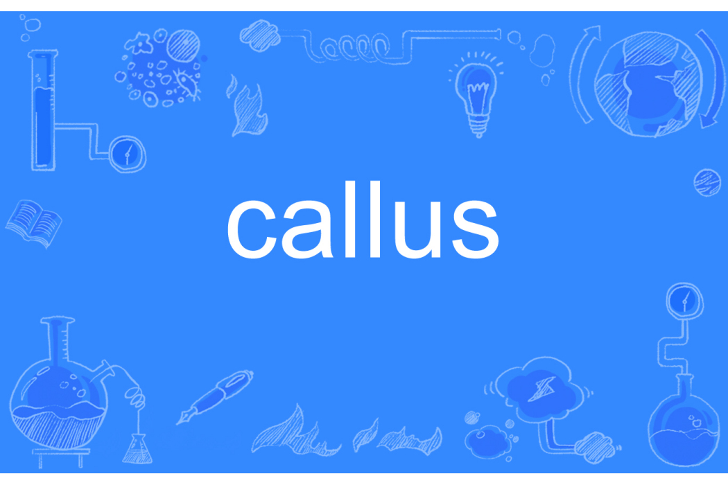 callus callus