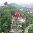 蛇山(武漢蛇山) 蛇山(武漢蛇山)
