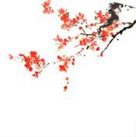 花燈游 花燈游