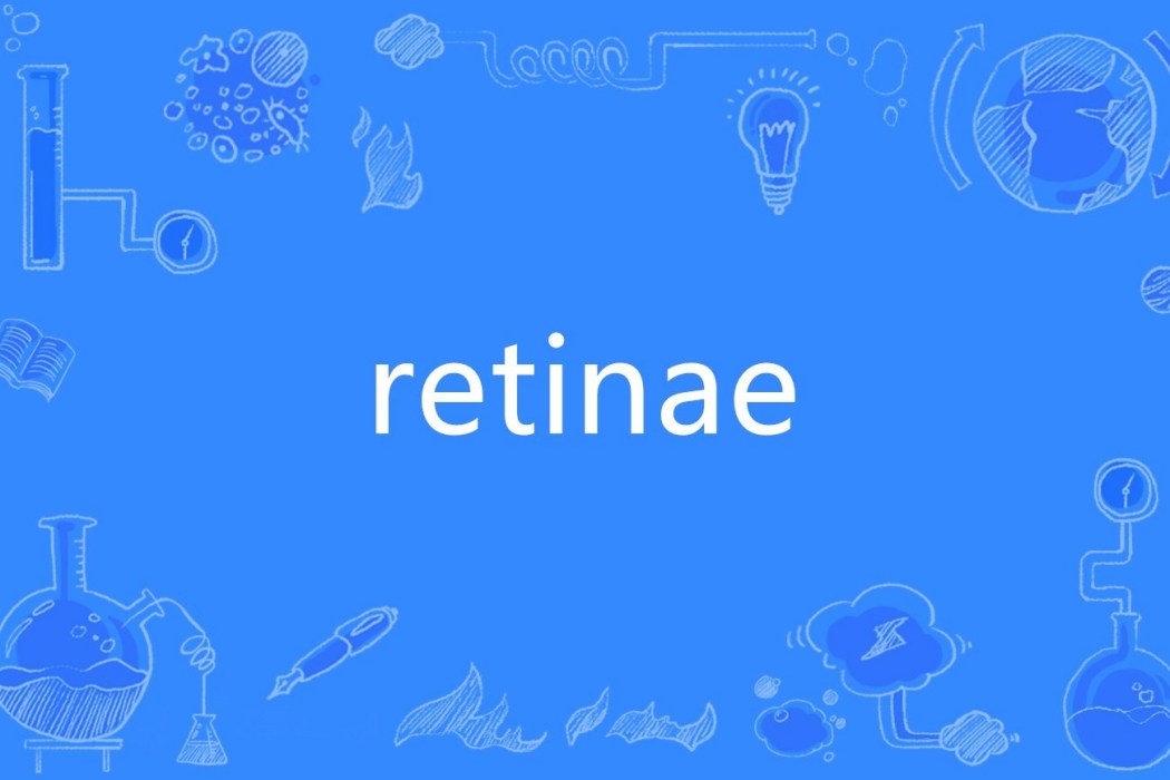 retinae retinae