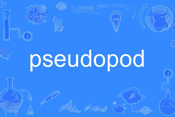 pseudopod pseudopod