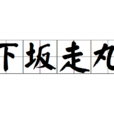 下坂走丸 下坂走丸