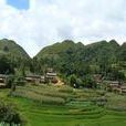 瓦子山村 瓦子山村