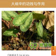 中醫中藥大全 中醫中藥大全