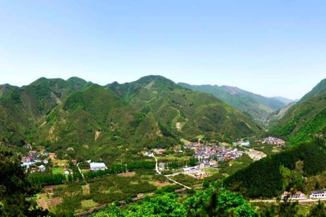 楊洪村