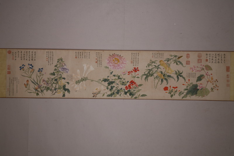 九秋圖(清代錢維城繪製的折枝花卉圖卷) 九秋圖(清代錢維城繪製的折枝花卉圖卷)