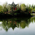 銀川中山公園 銀川中山公園
